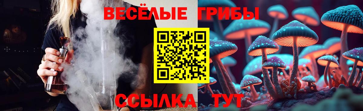 хочу   Вход с VPN  Псилоцибиновые грибы Psilocybine cubensis  Кропоткин  Псилоцибиновые грибы ЛСД 